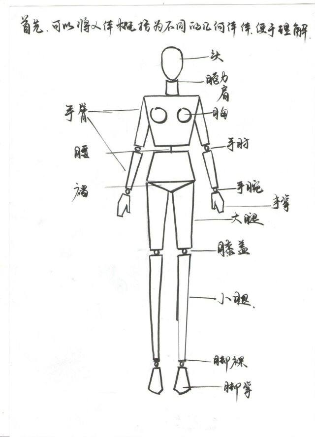 人体五官内脏结构图图人体结构