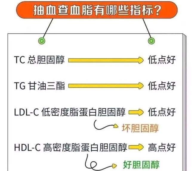 载脂蛋白A1偏低一丢丢,载脂蛋白a1偏低