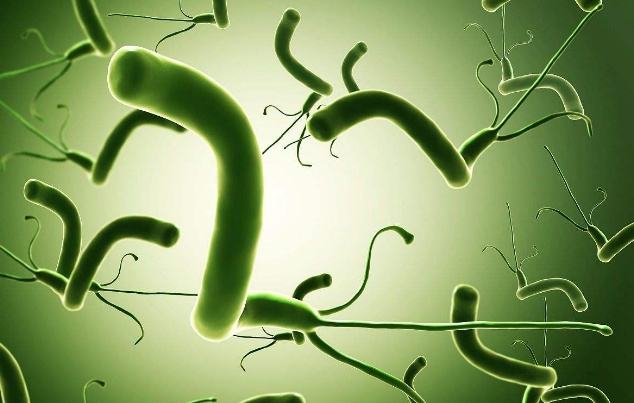 感染幽门螺旋杆菌多久出现症状,胃部感染幽门螺旋杆菌有什么症状