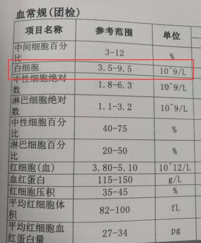 铁蛋白高少吃哪些食物铁蛋白高是怎么回事