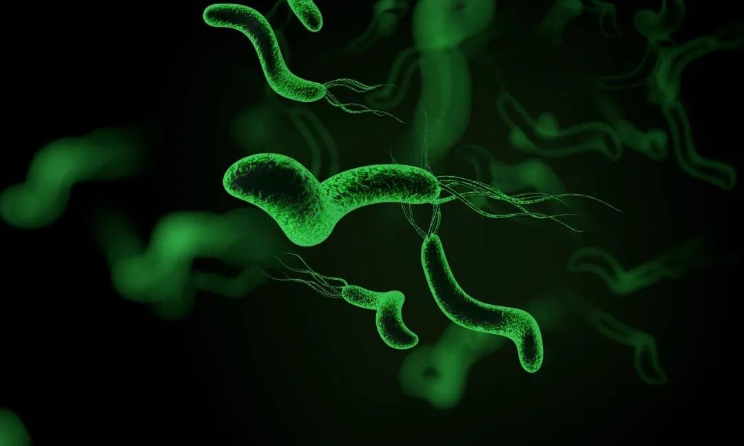为什么不建议主动测幽门杆菌幽门螺旋杆菌阳性怎么治疗