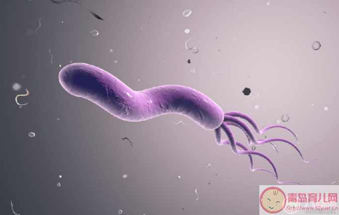 幽门螺杆菌感染有什么症状吃什么药感染幽门螺旋杆菌有什么症状