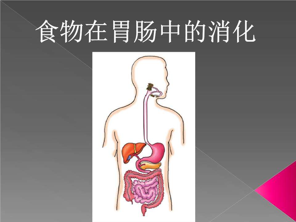 消化,消化不良的10大征兆