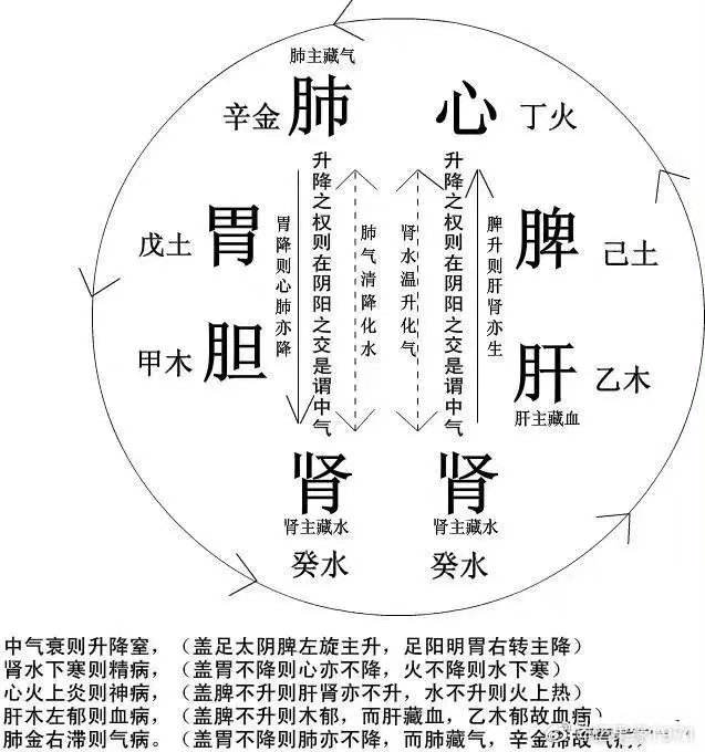 中医体质辨识9种体质中医