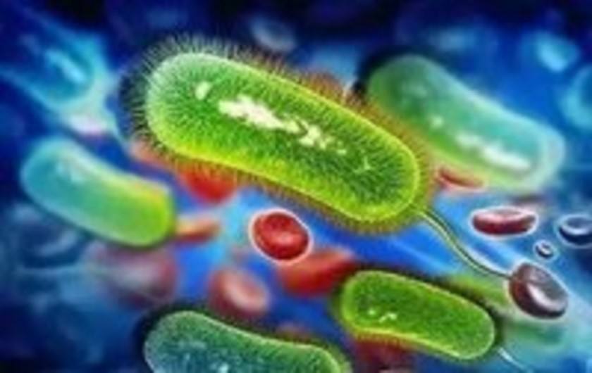 幽门螺旋杆菌是什么原因引起的,怎样预防及治疗幽门螺旋杆菌是什么原因引起的治疗简单吗