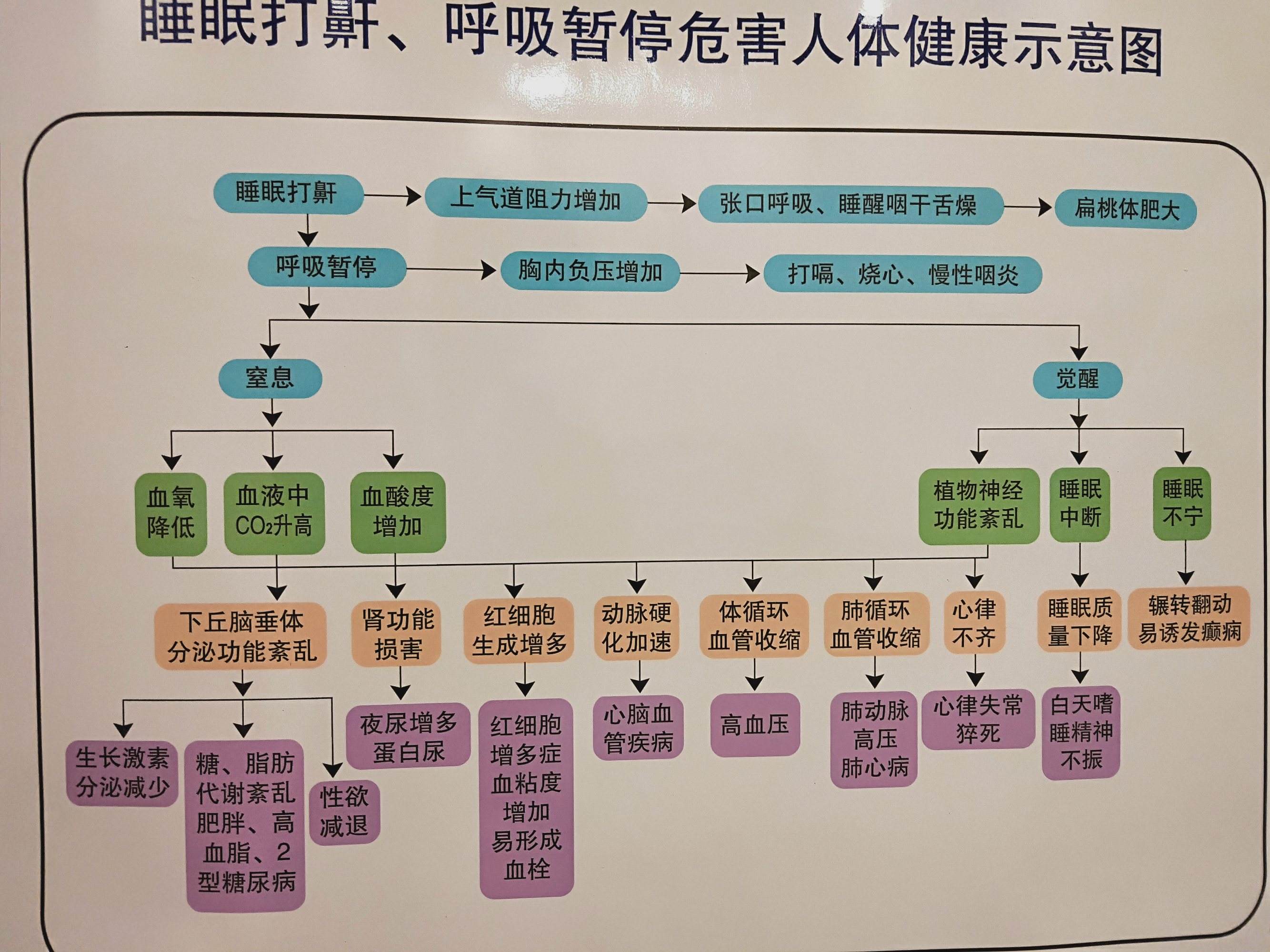 呼吸暂停睡眠综合症会引起什么病,睡眠呼吸暂停综合症是什么原因造成的