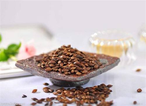 大麦茶的作用与功效大麦青汁的作用与功效