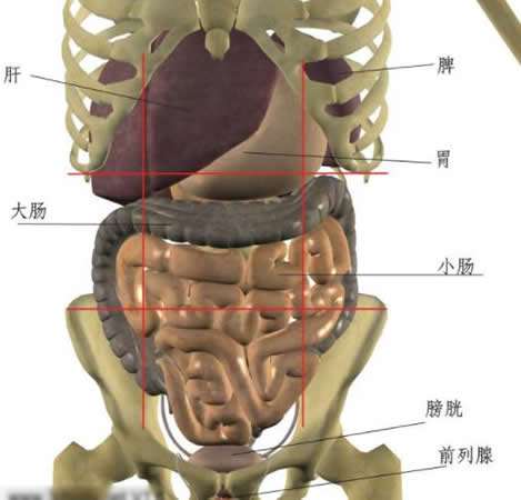 左上腹疼痛做什么检查更准确左上腹疼痛