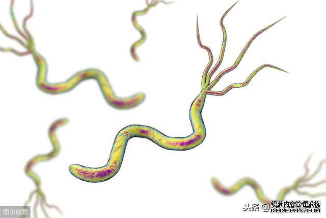 幽门螺旋杆菌感染后多久复查幽门螺旋杆菌感染有哪些症状多长时间复查