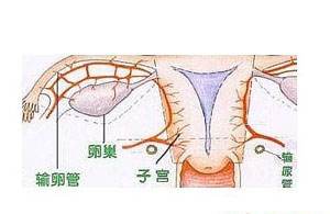 附件炎的治疗方法和用药,附件炎