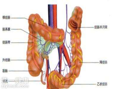 慢性结肠炎的症状,结肠炎的症状