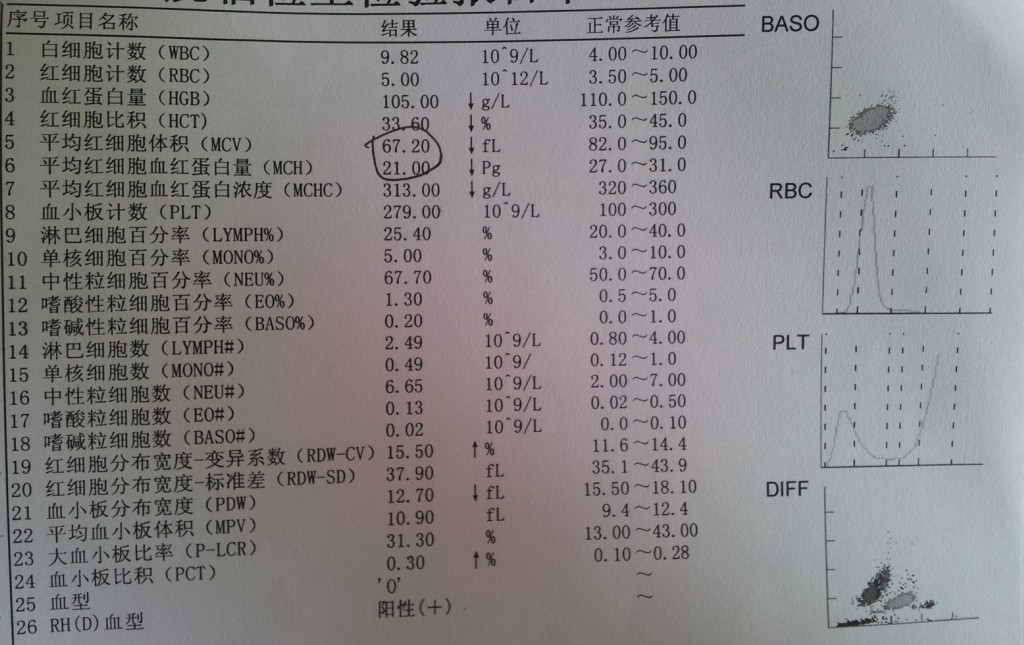 血红蛋白偏低的原因血红细胞血红蛋白偏低的原因