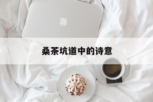 桑茶坑道中的诗意桑茶坑道中的诗意是什么