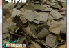荷叶能减肥吗,荷叶可以减肥吗